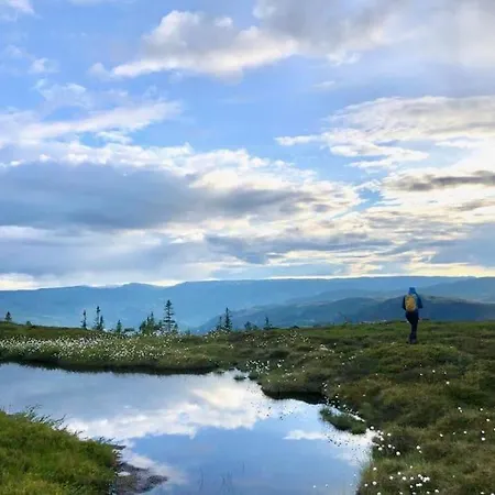 Ny Eksklusiv Hytte, Strom Og Jacuzzi Inkl I Prisen