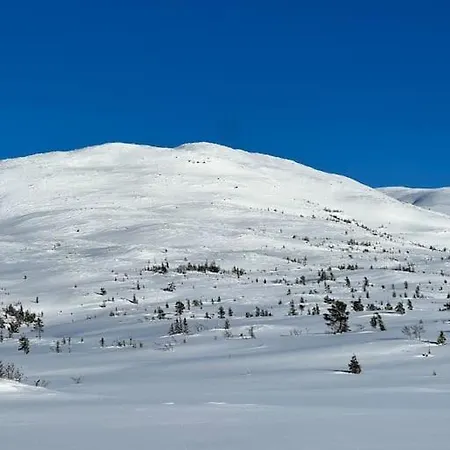 Ny Eksklusiv Hytte, Strom Og Jacuzzi Inkl I Prisen