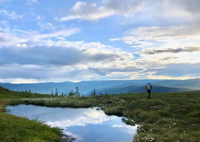 Ny Eksklusiv Hytte, Strøm Og Jacuzzi Inkl I Prisen