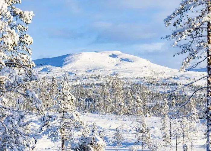 Ny Og Moderne Med Sauna, Jacuzzi Og Eget Spillrom Med Biljard Og Dart Gratis Elbillading Og Strom Inkludert I Prisen